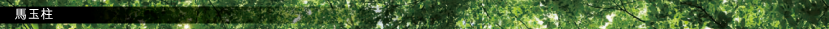 馬玉柱