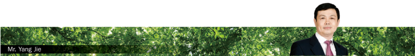Mr. Yang Jie