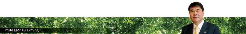 Professor Xu Erming