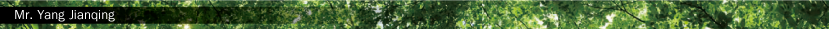 Mr. Yang Jianqing