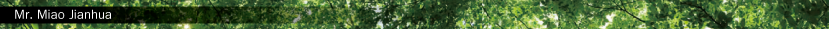 Mr. Miao Jianhua