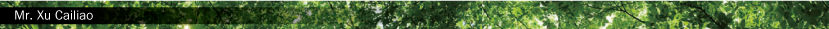 Mr. Xu Cailiao