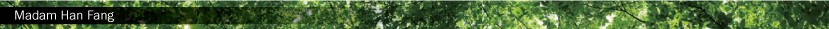 Madam Han Fang